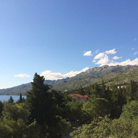 Apartments Villa Jusup Starigrad Paklenica Dış mekan fotoğraf