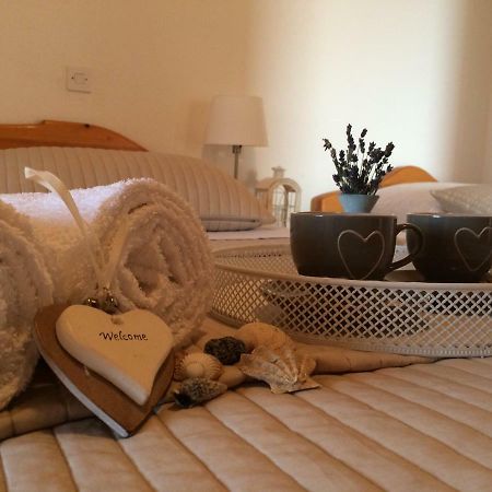 Apartments Villa Jusup Starigrad Paklenica Dış mekan fotoğraf