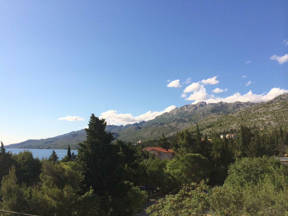 Apartments Villa Jusup Starigrad Paklenica Dış mekan fotoğraf