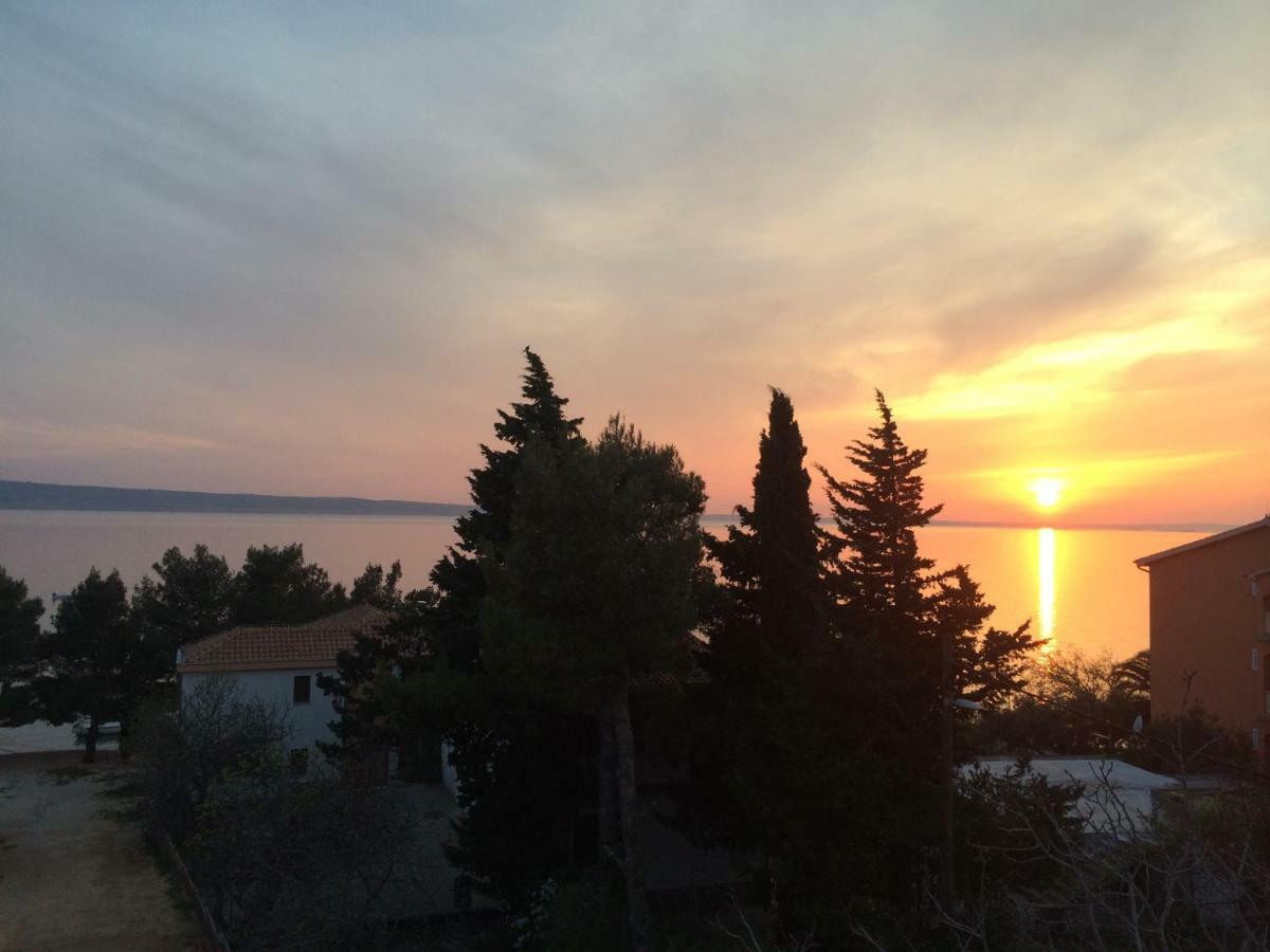 Apartments Villa Jusup Starigrad Paklenica Dış mekan fotoğraf